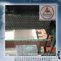 Galvanized Hexagonal Wire Mesh And PVC Coated Hexagonal Wire Mesh/Chicken Coop Hexagonal Wire Mesh